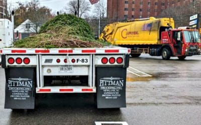 Quincy Quarry News Weekly Fish Wrap: Finding Christmas trees from an out of state forest? #santaclaus