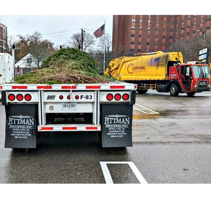 Quincy Quarry News Weekly Fish Wrap: Finding Christmas trees from an out of state forest? #santaclaus