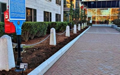 Kim Jong Koch Plaza now stripped of cheap annual fall flowers before Thanksgiving #mayorkoch #kimjongkochplazasnowteamsix