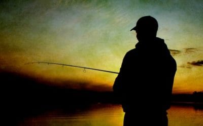 Quincy Quarry News Weekly Fish Wrap: Quiet along the Quincy waterfront. #mayorkoch #remembertheladies