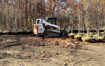 Quincy Quarry News yet again spurs the City of Quincy to do what it should have already been doing? #mayorkoch #cityofquincy