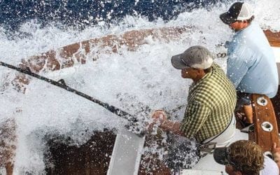 Quincy Quarry News Weekly Fish Wrap: A rough week, a very rough week #quincydistrictcourt #quincypolicedepartment #norfolksuperiorcourt #mayorkoch #propertytaxes