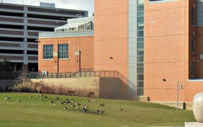 Quincy Quarry News Police Scanner Snippets – Weapons violation arrest at Quincy High School