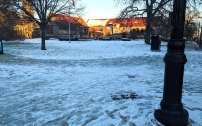 Quincy Quarry News Weekly Fish Wrap: Yet Another Trifecta in the Q this Week! #mayorkoch #snowjob