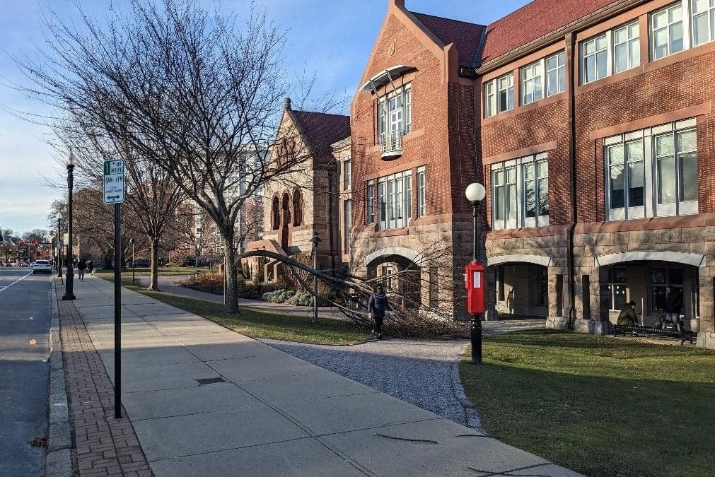 Quincy Crane Main Library Tree Down over the Long Holiday Weekend #departmentofnaturalresources