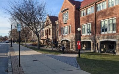 Quincy Crane Main Library Tree Down over the Long Holiday Weekend #departmentofnaturalresources
