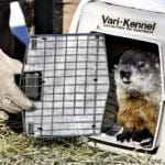 Ms-G | Quincy News About Quincy Massachusetts