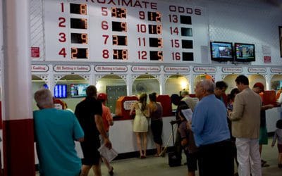 Quincy Quarry News Weekly Fish Wrap: another week, yet another trifecta of the same old same old.