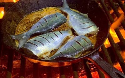 Quincy Quarry News Weekly Fish Wrap: Heating up for spring?