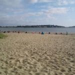 340184361_1598687740595085_3997897612448243523_n | Quincy News About Quincy Massachusetts