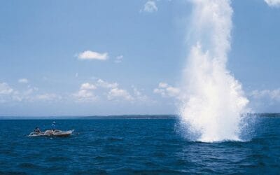 Quincy Quarry News Weekly Fish Wrap: Bang bang, crash, lower the boom!