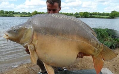 Quincy Quarry News Weekly Fish Wrap: Fat raises proposed by Mayor Koch for City Hall Big Fish