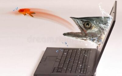 Quincy Quarry News Weekly Fish Wrap: Bad code happens