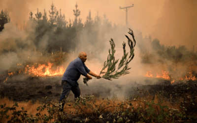 Quincy recent brush fires arson?