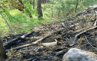 Friends of the Blue Hills post reward for information on recent suspicious fires