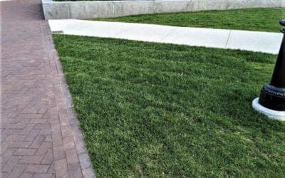 Quincy City Hall sodded yet again