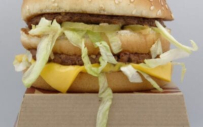 Quincy Quarry News Police Scanner Snippets: A Big Mac Attack© attack threat