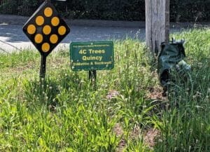 adopted-cty-of-quincy-planter-beds-2 | Quincy News About Quincy Massachusetts