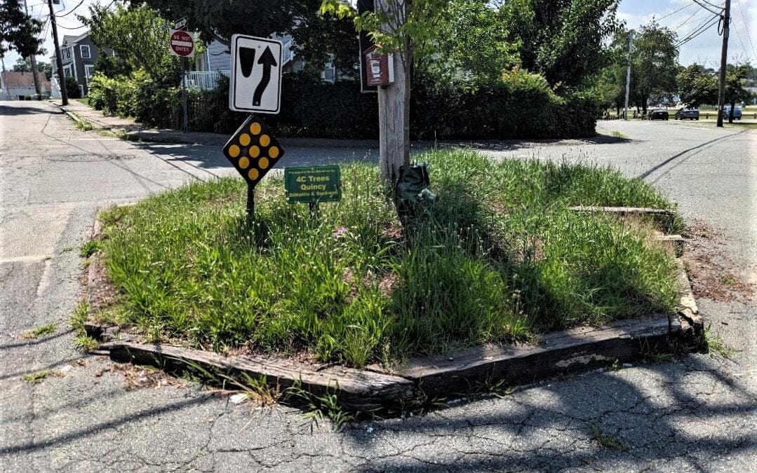 Adopted City of Quincy Green Space abandoned in the middle of a street?