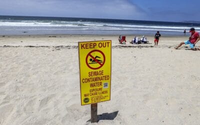 Wollaston Beach and other local beaches’ water polluted by sewerage overflow