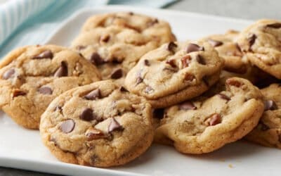 Chocolate Cookies’ Twenty-fifth Anniversary as the Official Cookie of Massachusetts!