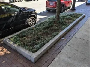Hancock planters 0ct 22 2022 | Quincy News About Quincy Massachusetts | Quincy Ma | quincy news