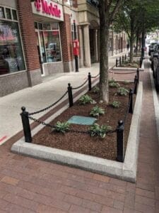 Koch Maladministration responds to two landscaping fails with new fails