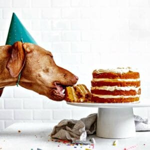 365450149_304786258604096_7959714591092825555_n | Quincy News About Quincy Massachusetts