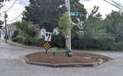 Quincy Quarry yet again successfully presses for action?