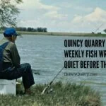 Quincy Quarry News Weekly Fish Wrap: Quiet Before the Fall? weekly-fish-wrap----x