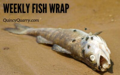 Quincy Quarry News Weekly Fish Wrap: Things heat up in Quincy as the temperature rises.