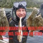 fish-diver-quincyquarrycom