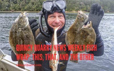 Quincy Quarry News Weekly Fish Wrap: This, That and the Other