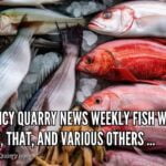 various-fish-freepik-largequincyquarrycom | Quincy News About Quincy Massachusetts