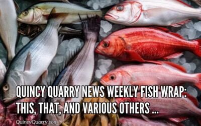 Quincy Quarry News Weekly Fish Wrap: This, that, and various others …
