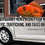 Quincy Quarry News Weekly Fish Wrap: Traffic, Trafficking, and Taxes Oh My! fish-driving-carquincyquarrycom
