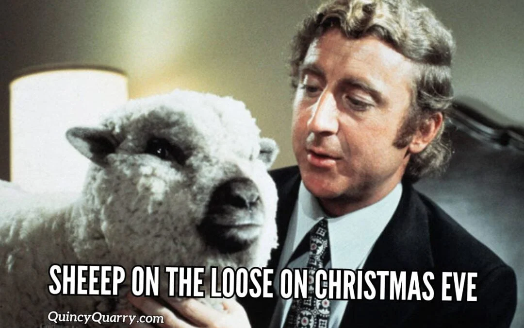 Sheep On The Loose On Christmas Eve!