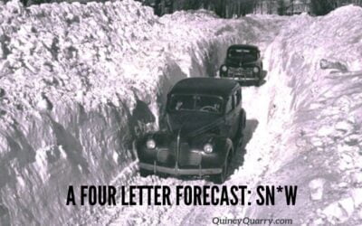 A Four Letter Forecast: Sn*w