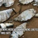 stinky-news-fishquincyquarrycom