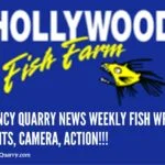 Quincy Quarry News Weekly Fish Wrap: Lights, Camera, Action!!! weekly-fish-wrap-lights-camera-actionquincyquarrycom
