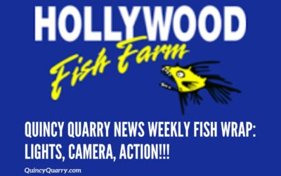 Quincy Quarry News Weekly Fish Wrap: Lights, Camera, Action!!!