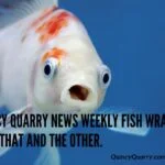 fish-mouth-open-largequincyquarrycom