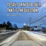 To Salt Or Not To Salt. That Is The Question. to-salt-or-not-to-saltquincyquarrycom