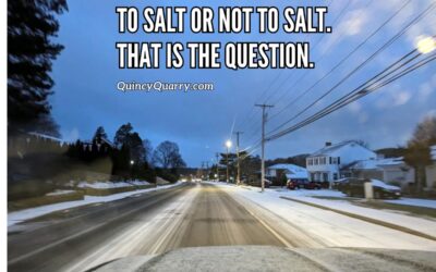 To Salt Or Not To Salt. That Is The Question.