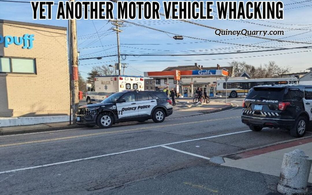 Yet Another Motor Vehicle Whacking