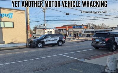 Yet Another Motor Vehicle Whacking