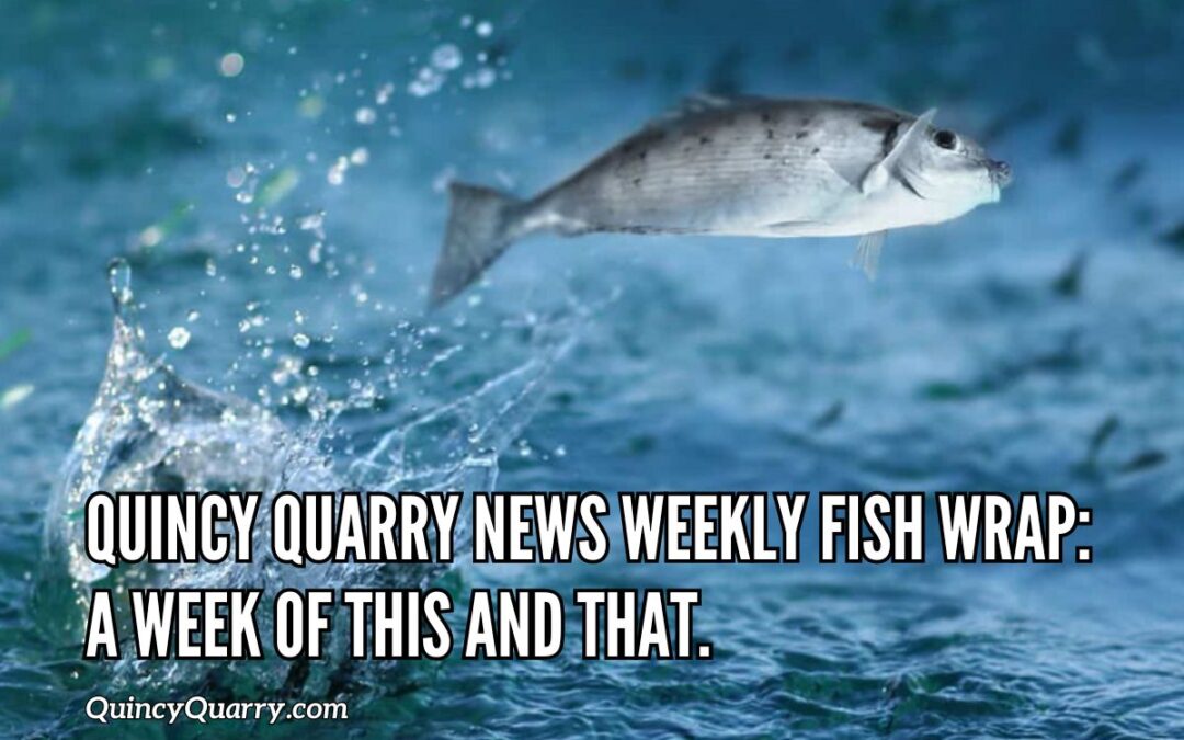 Quincy Quarry News Weekly Fish Wrap: A Week of This and That