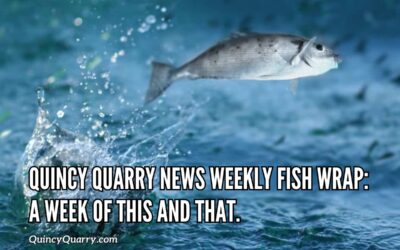 Quincy Quarry News Weekly Fish Wrap: A Week of This and That