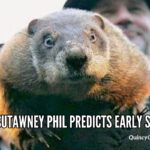 punxsutawney-large-philquincyquarrycom | Quincy News About Quincy Massachusetts
