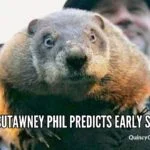 punxsutawney-large-philquincyquarrycom